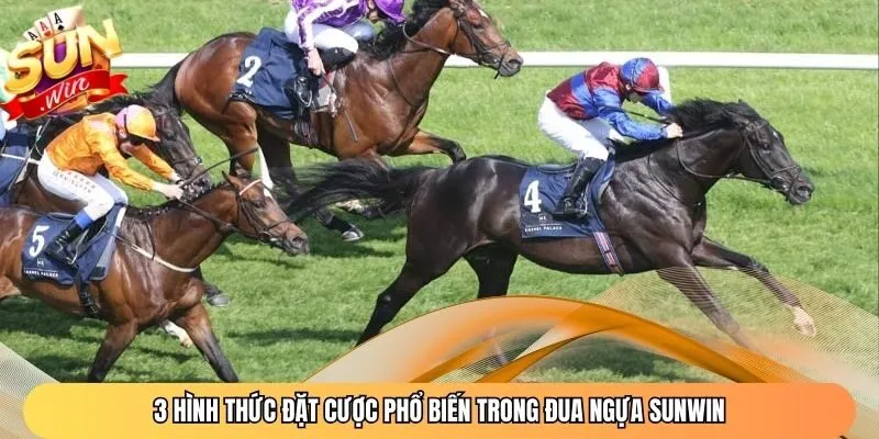 3 hình thức đặt cược phổ biến trong đua ngựa Sunwin