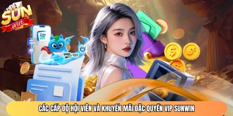 Các cấp độ hội viên và khuyến mãi đặc quyền Vip Sunwin