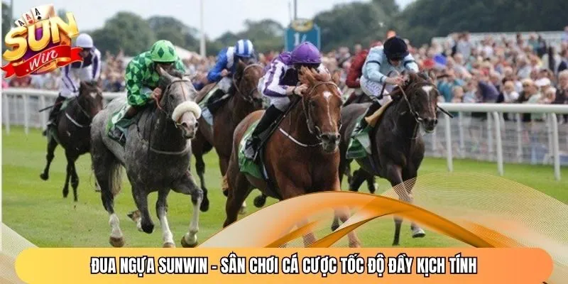 Đua Ngựa Sunwin - Sân Chơi Cá Cược Tốc Độ Đầy Kịch Tính