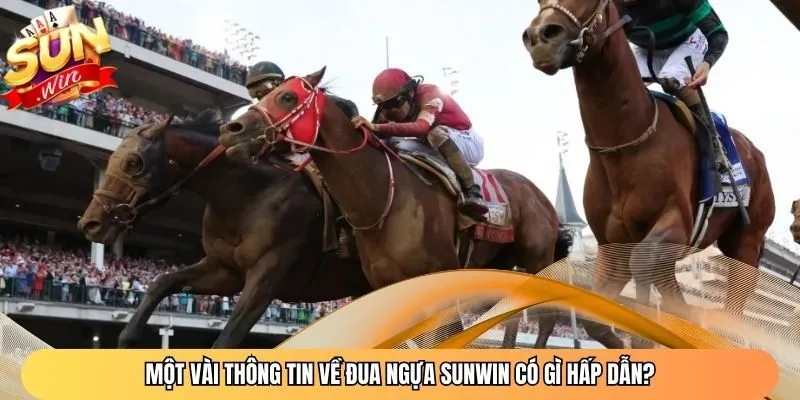 Một vài thông tin về đua ngựa Sunwin có gì hấp dẫn?
