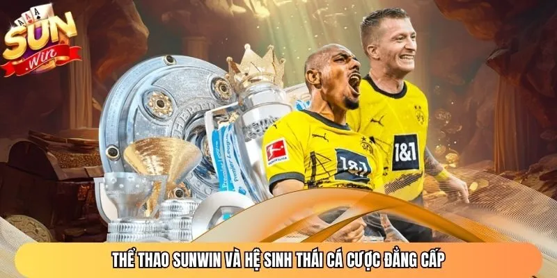 Thể thao Sunwin và hệ sinh thái cá cược đẳng cấp